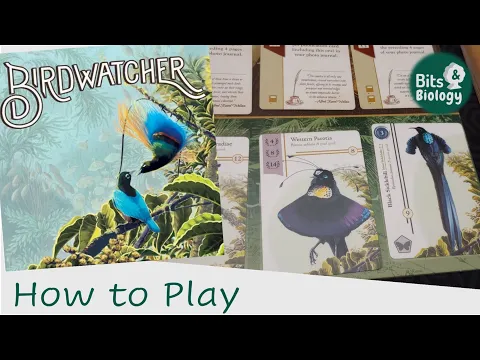 Birdwatcher How to Play | Bits & Biology