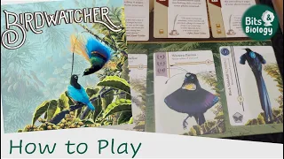 Birdwatcher How to Play | Bits & Biology