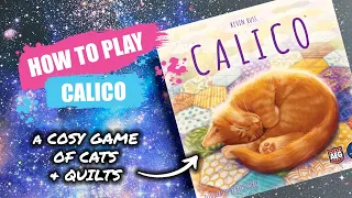 How to Play Calico | Concise Board Game Rules & Instructions