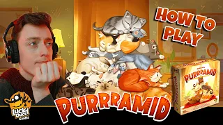 Purrramid | Official How To Play