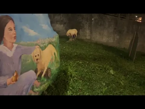 Youtube Preview