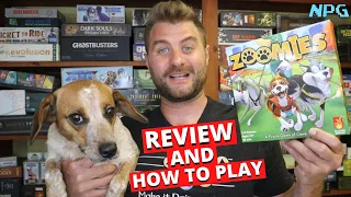 Zoomies Board Game Review and How to Play