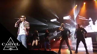 Daddy Yankee Live - Calabria & Nantes (2014) [Live]