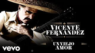 Vicente Fernández - Un Viejo Amor (Letra/Lyrics)