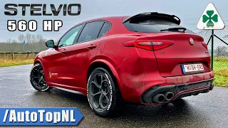 560HP Alfa Romeo Stelvio QV | REVIEW on AUTOBAHN [NO SPEED LIMIT] by AutoTopNL