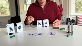 Mongoose - set up and play