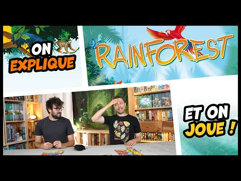 Rainforest, on explique et on joue