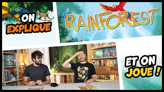 Rainforest, on explique et on joue