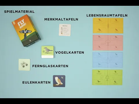 Wie Spielt Man FLY HOME?