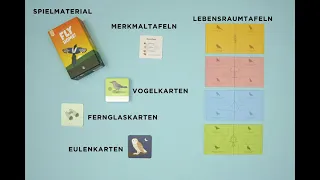 Wie Spielt Man FLY HOME?