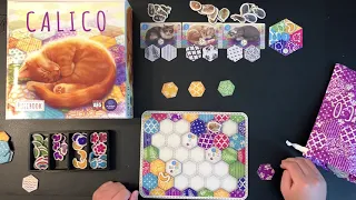 Calico Solo Playthrough | Danicha