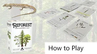 Reforest - Board Game Rules - how to play