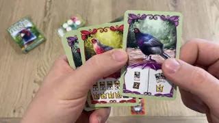 How to Play and Review