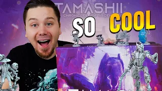 Unboxing  Tamashii Chronicle of Ascend 4k High Details