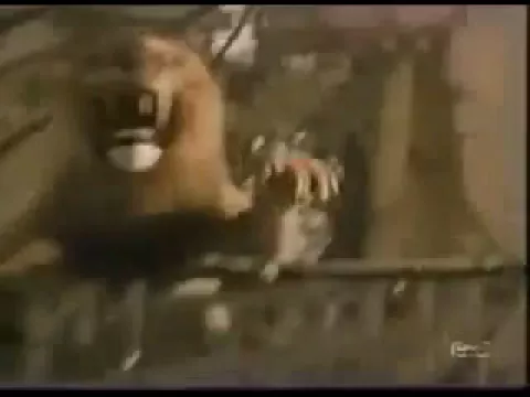 Jumanji Board Game Commercial 1995