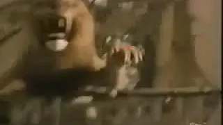 Jumanji Board Game Commercial 1995