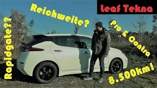 Nissan Leaf 40kwh - Fazit nach 6 Monaten