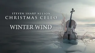 Winter Wind (Steven Sharp Nelson/Christmas Cello) The Piano Guys