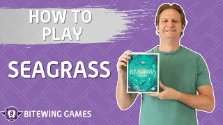 How to Play Seagrass