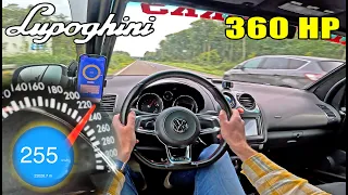 360HP LUPOGHINI is SMALL, LIGHT & FAST! on the AUTOBAHN