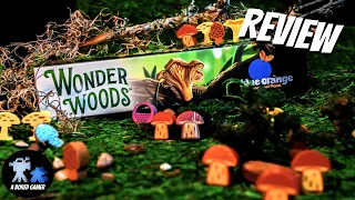Wonder Woods Review