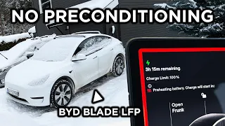 I Deep Froze My Tesla Model Y LFP & Went To Charge! BYD Blade Battery Should Be The Best But...