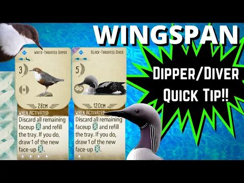 Dipper / Diver Wingspan Card Drawing Tip: Wingspan Board Game Strategy