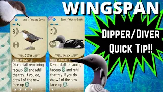 Dipper / Diver Wingspan Card Drawing Tip: Wingspan Board Game Strategy