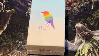 Aves board game unboxing