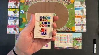 Long Shot The Dice Game Solo Gamplay and How To Play Solo