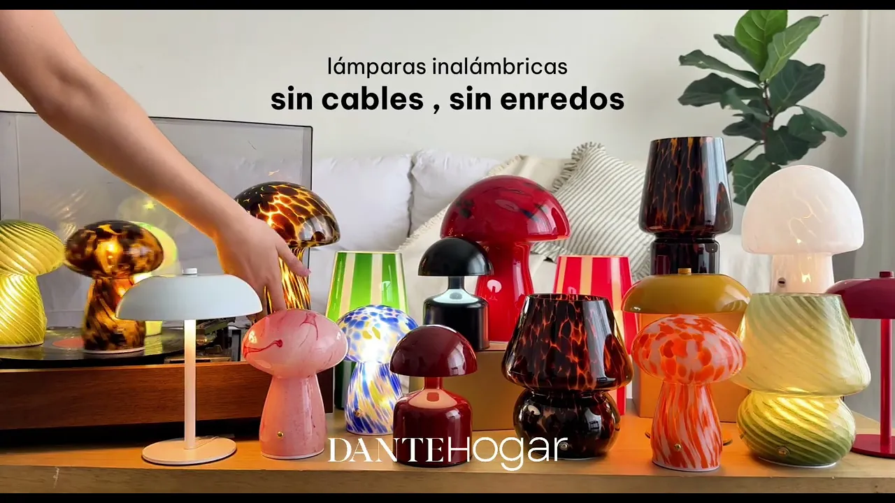 Video de DANTE Hogar