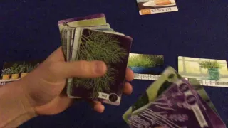 Bower's Game Corner: Herbaceous Review