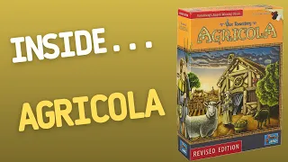 Inside...AGRICOLA: Revised Edition Board Game (4K)