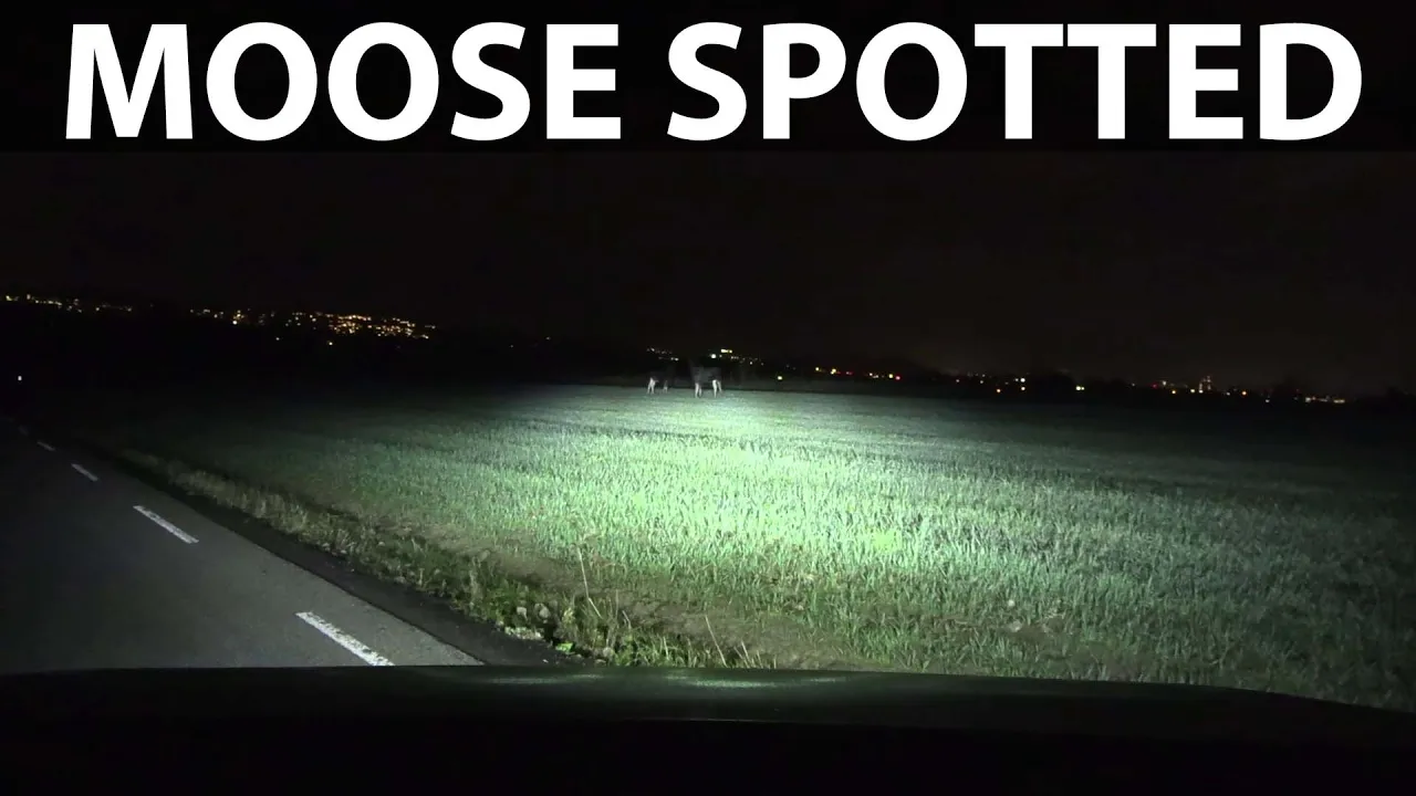 Maxus Euniq 5 headlights test