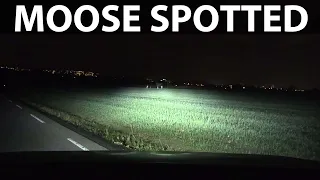 Maxus Euniq 5 headlights test