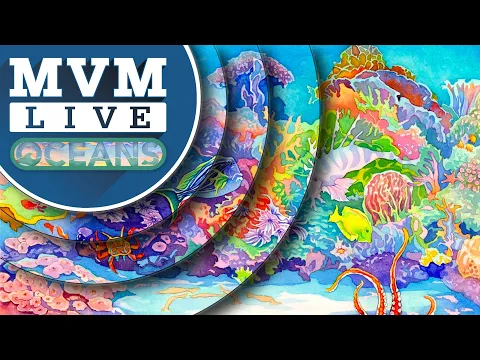 MvM Live Plays Oceans (North Star Games)