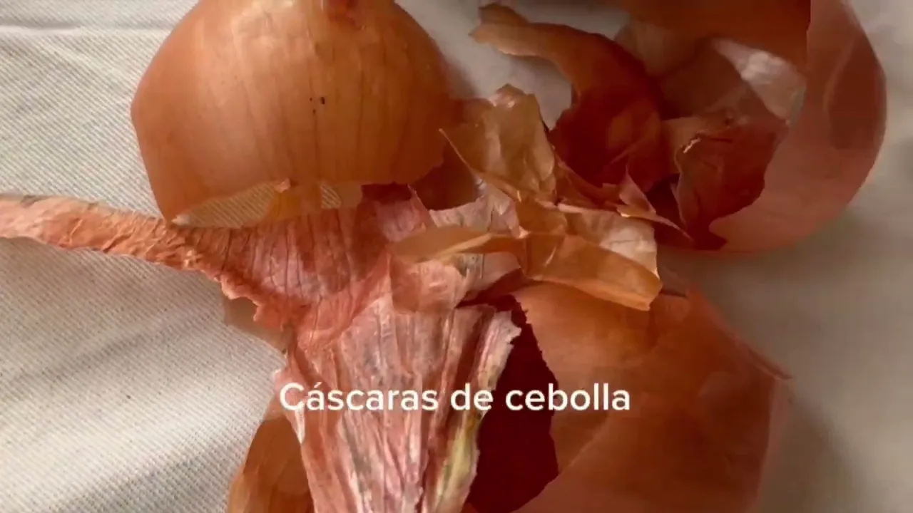 Video de Vite