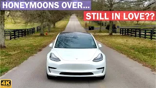 What's it REALLY Like to Own a TESLA MODEL 3 After 3 MONTHS?? | Owner Update!