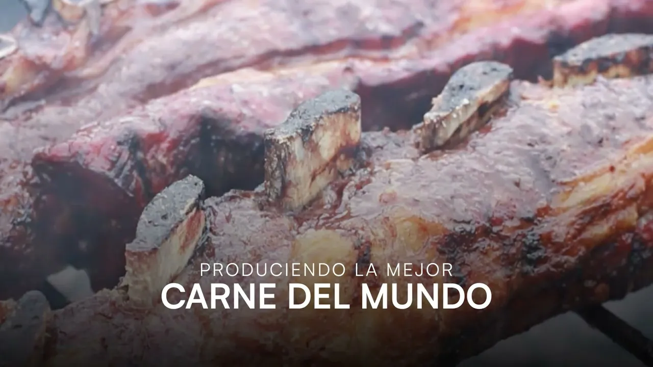Video de Frigorifico Entre Todos