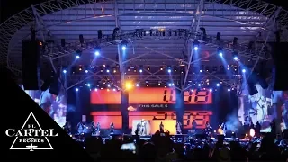 Daddy Yankee Live -- Valledupar, Colombia (2014) [Live]
