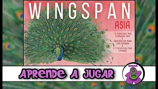 WINGSPAN ASIA - Cómo se juega - TUTORIAL - Juego de Mesa