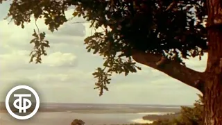 Про тебя ли, Волга-матушка... Фильм о красоте волжских берегов (1976)