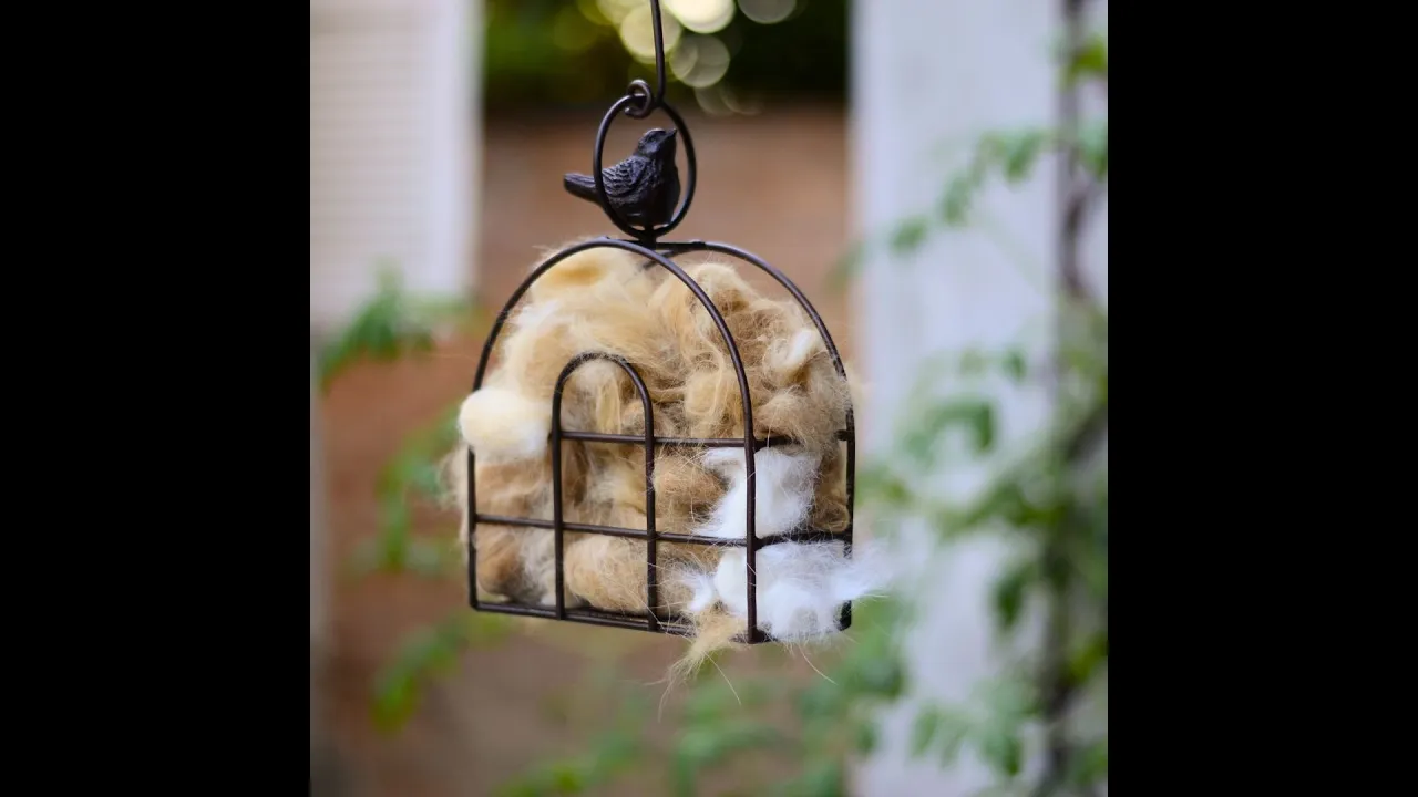 Vídeo de Depósito Santa Mariah