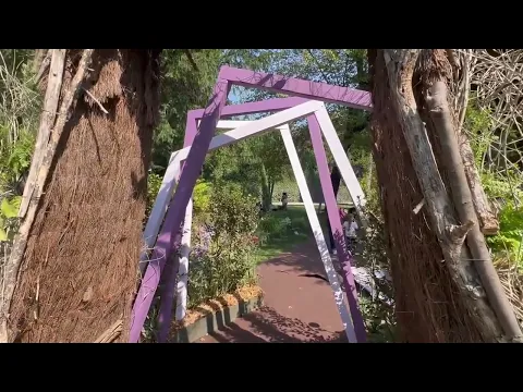 Youtube Preview