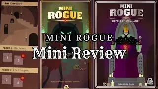 Mini Rogue | Mini Review