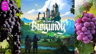 The Castles of Burgundy, Solo Playthrough (Chateauma) and the Vineyard expansion