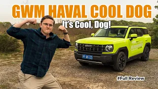 The Haval Cool Dog Is a Stylish Compact SUV