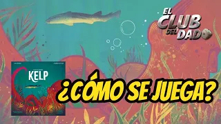 Vídeo reseña Kelp por El club del dado