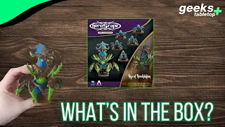 Whats in the Box - Heroscape: Rising Tide Queen Maladrix and Festering Honor Guard