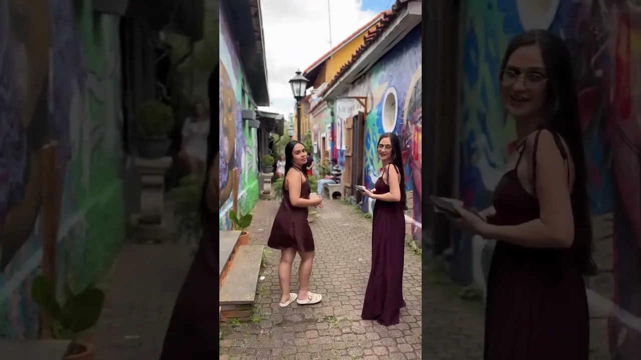 Vídeo de usepalomita